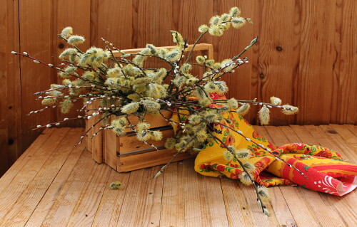 С Вербным Воскресеньем !!!