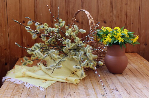 С Вербным Воскресеньем !!!