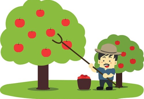 Задача садовника