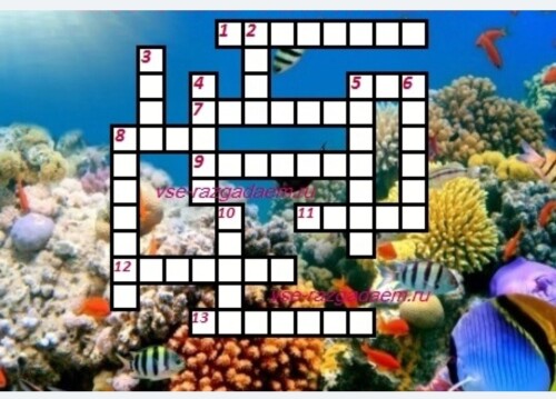 Кроссворд из ребусов