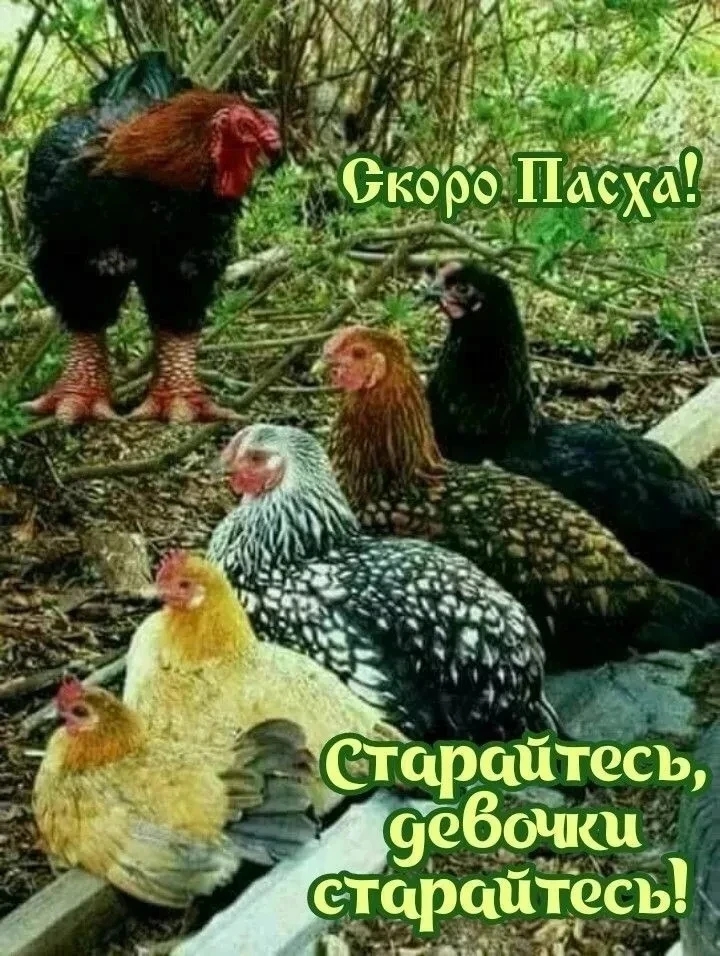https://e.radikal.host/2026/04/11/IMG_20260411_215019_863.jpg