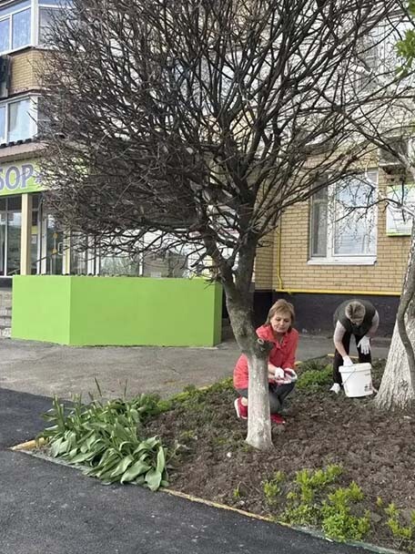 image-21-04-26-12-31-4.jpg