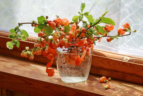 на подоконнике