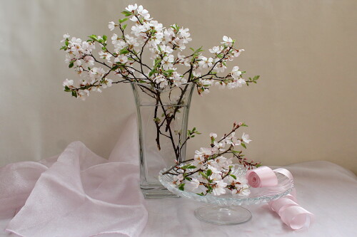 весенний натюрморт