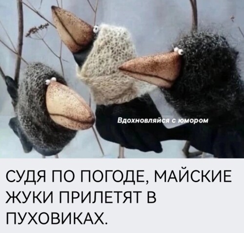 Немного юмора