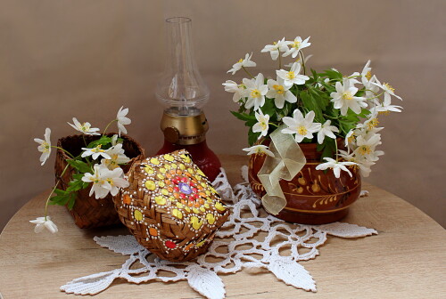 с белыми ветреницами