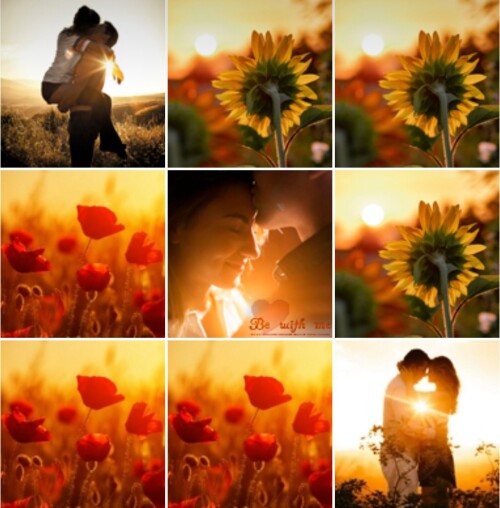 love.md.jpg