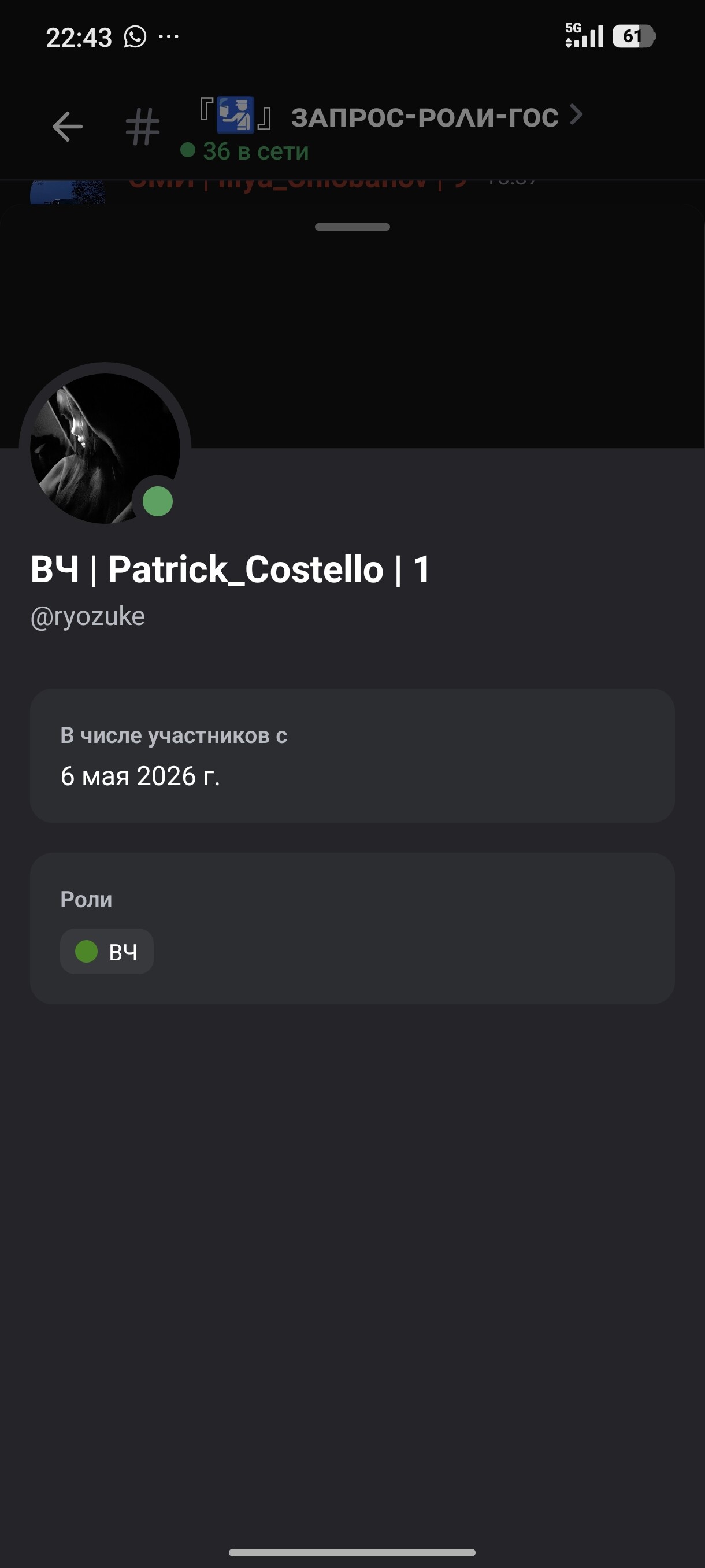 radikal.host