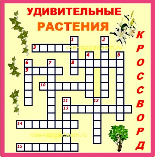 Эти удивительные растения