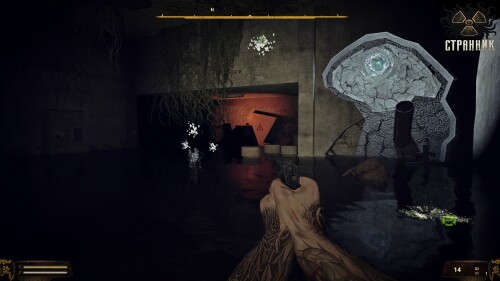 STRANNIK-1.jpg