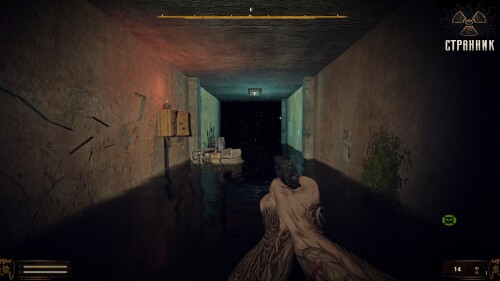 STRANNIK-2.jpg