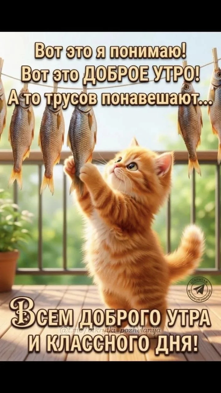 https://e.radikal.host/2026/05/17/1000030849.jpg