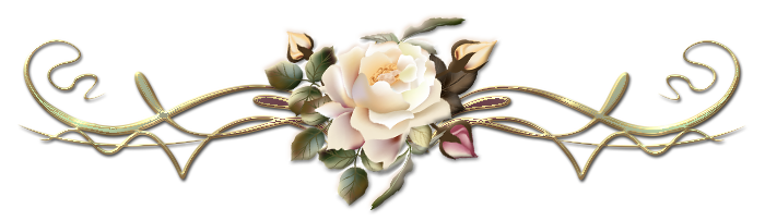 146765282_1.png