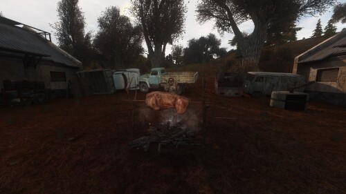 Clear Sky Global Stalker Weather Rework 12