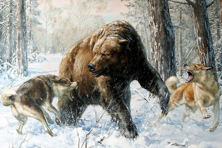 55229_900.jpg