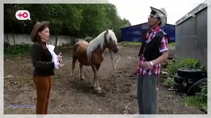 https://e.radikal.host/2026/06/02/013.jpg