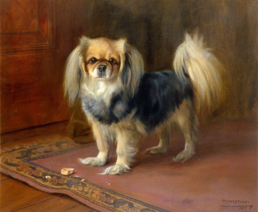 faithful-and-fearless-kylin-by-arthur-john-elsley-c-1900-this-painting-by-arthur-john-elsley-shows-a-tibetan-spaniel-standing-on-a-rug-with-a-dog-biscuit-at-his-feet.jpg