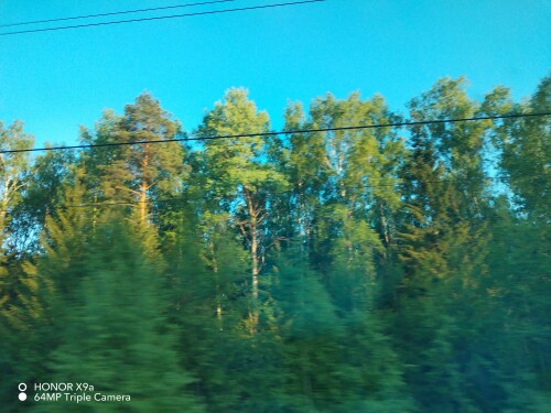 IMG_20260516_193552.md.jpg