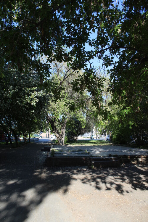 IMG_4471.md.jpg