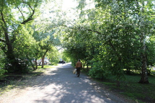 IMG_4472.md.jpg