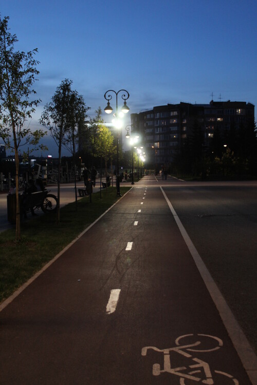 IMG_4521.md.jpg