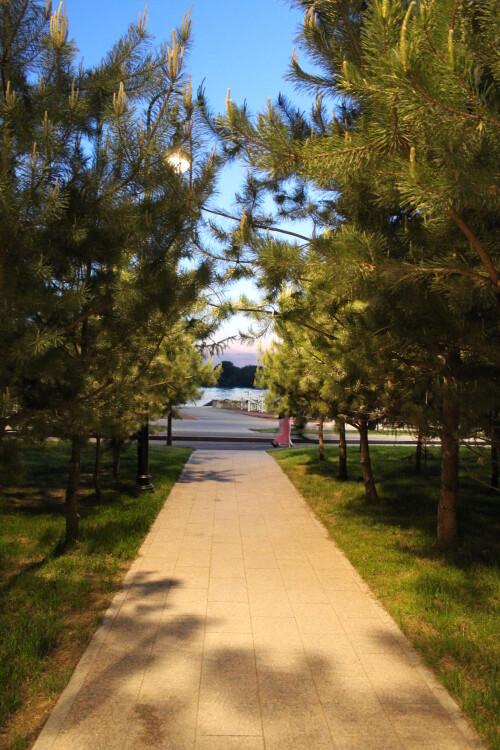 IMG_4531.md.jpg
