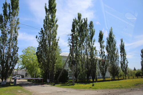 IMG_4621.md.jpg