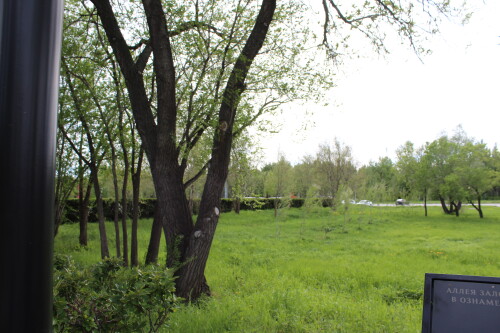 IMG_4645.md.jpg