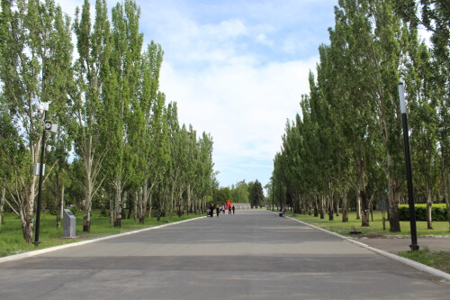IMG_4695.md.jpg