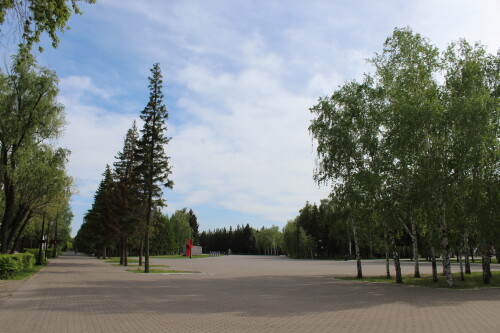 IMG_4714.md.jpg