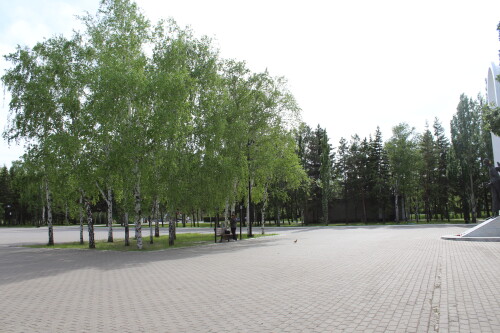 IMG_4715.md.jpg