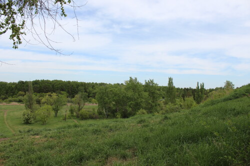 IMG_4760.md.jpg