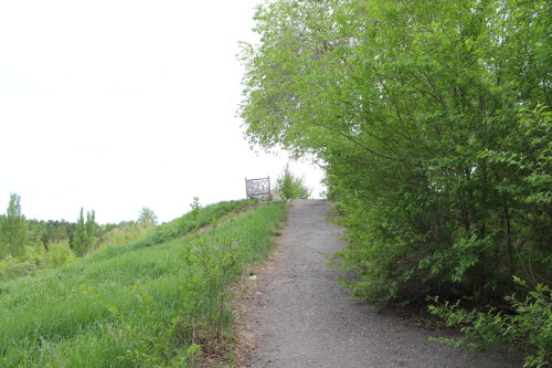 IMG_4761.md.jpg