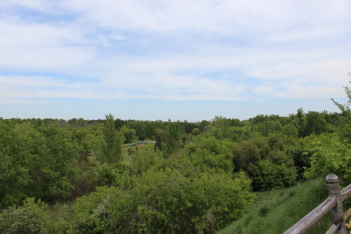 IMG_4763.md.jpg