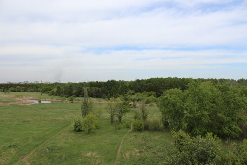 IMG_4764.md.jpg