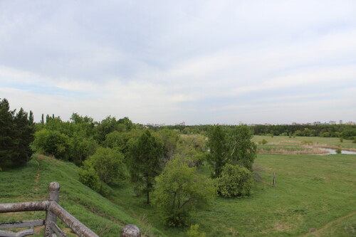 IMG_4765.md.jpg