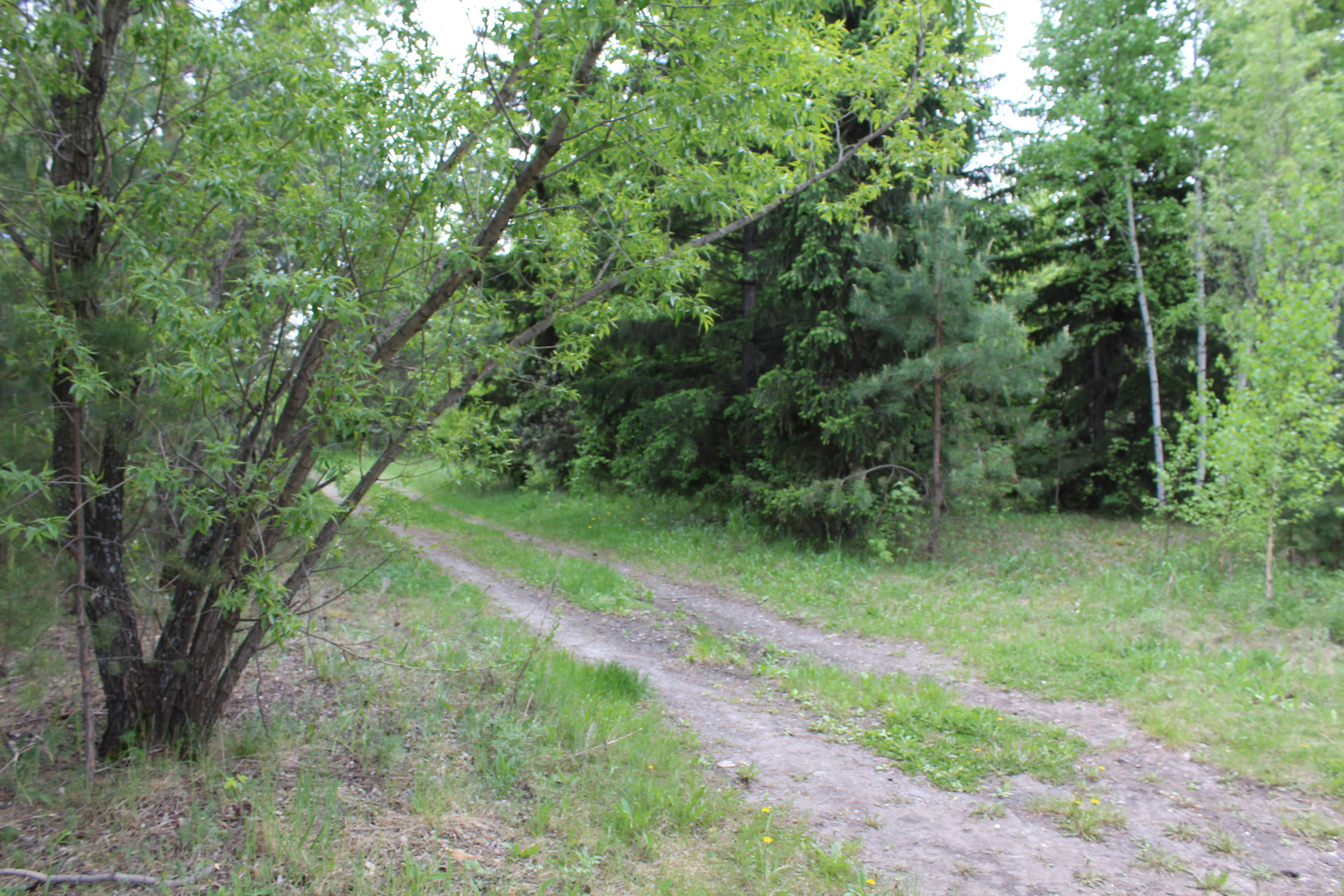 IMG_4779.jpg
