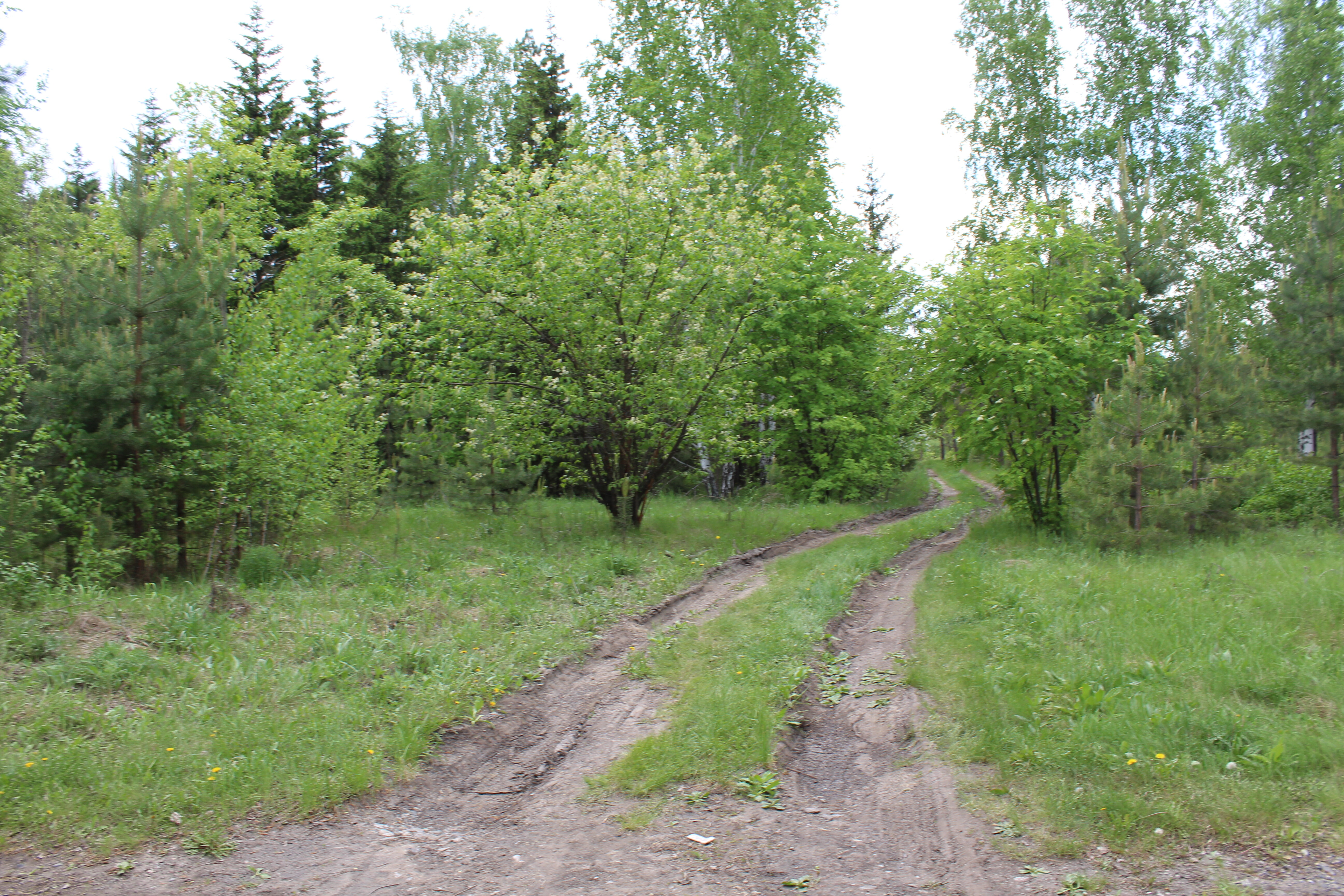 IMG_4780.jpg