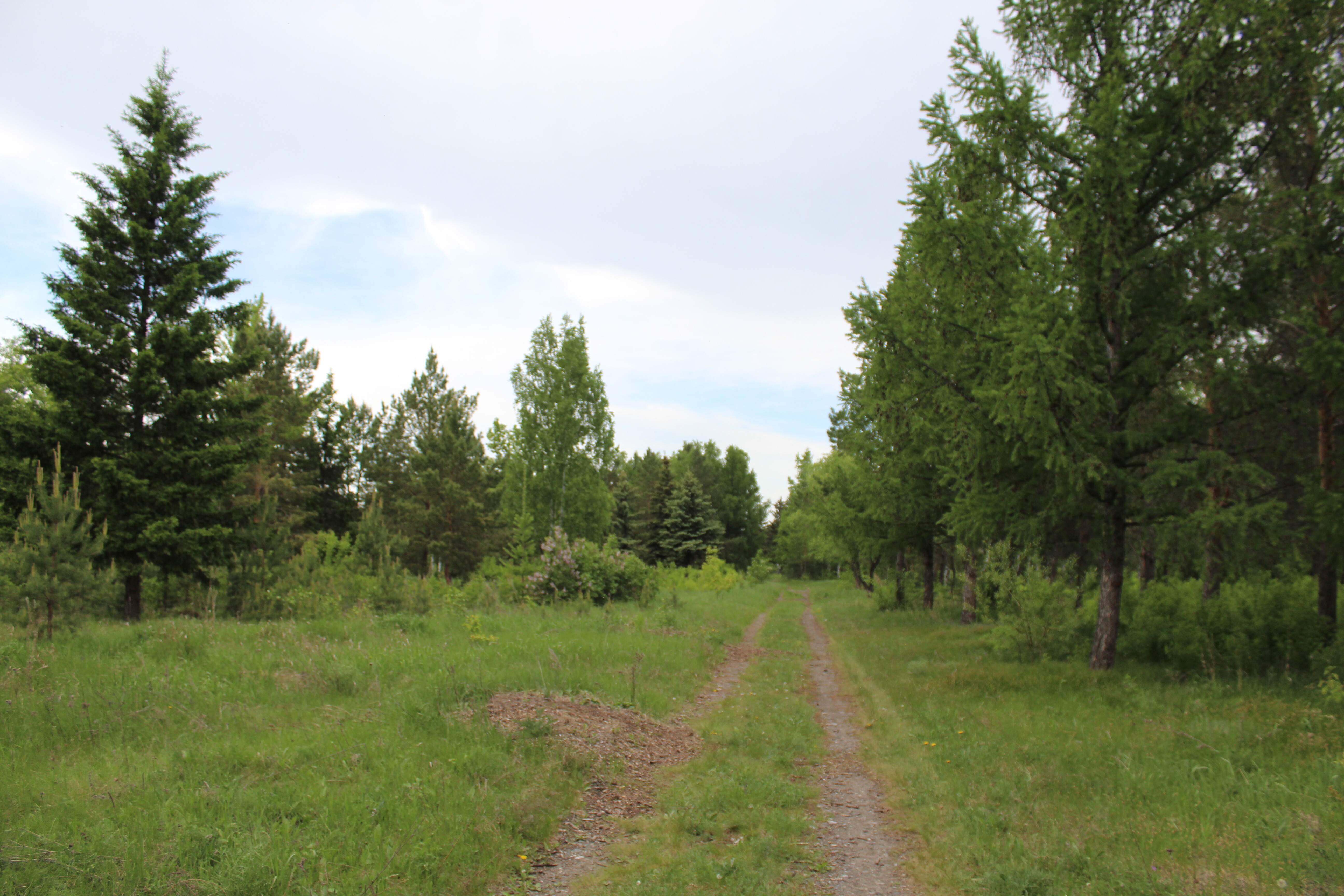 IMG_4787.jpg