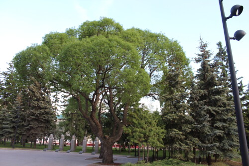 IMG_4805.md.jpg