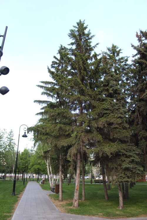 IMG_4833.md.jpg