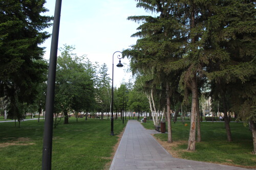 IMG_4834.md.jpg