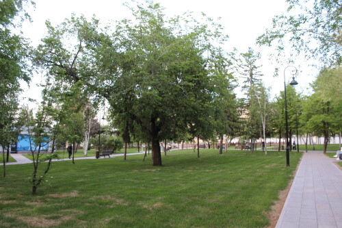 IMG_4837.md.jpg