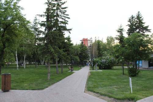 IMG_4841.md.jpg