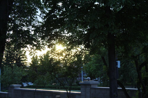 IMG_4842.md.jpg