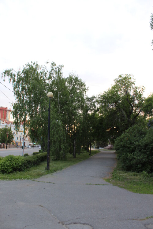 IMG_4858.md.jpg