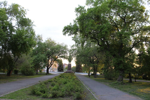 IMG_4864.md.jpg