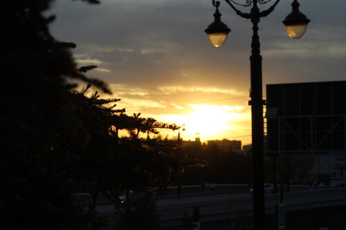 IMG_4873.md.jpg