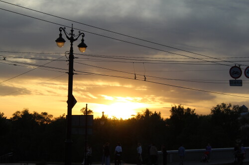 IMG_4884.md.jpg