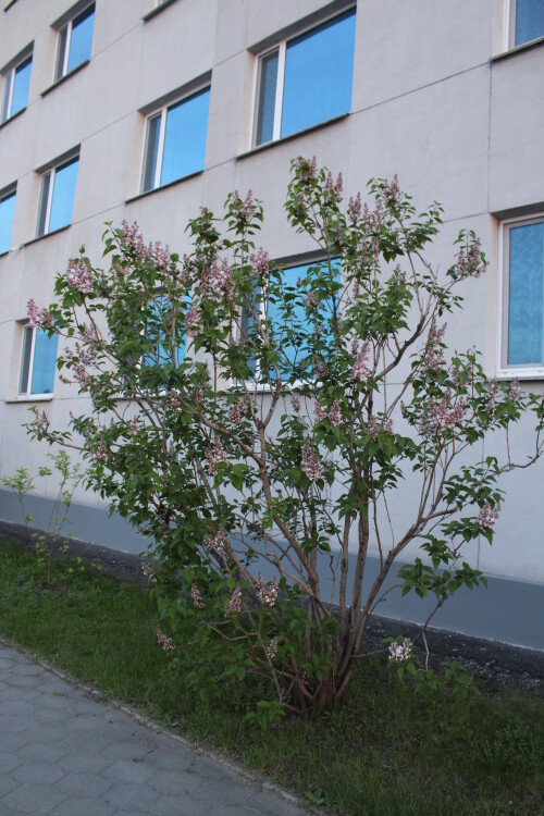 IMG_4930.md.jpg